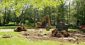 Stump removal and land clearing 